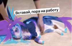 1026x664
