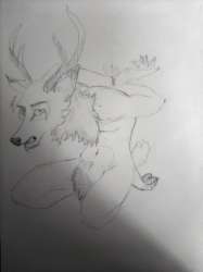 1058x1411