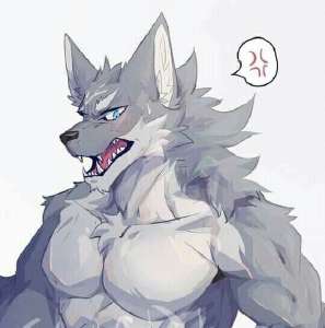 540x544