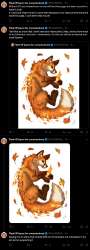 460x1268