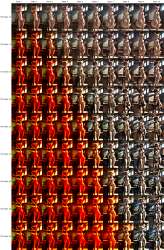 2633x4000