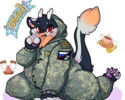 510x408