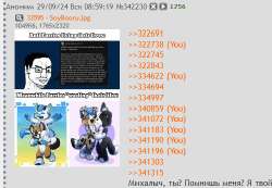 493x343