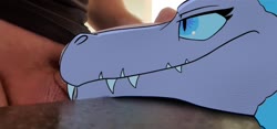 700x330