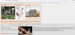1828x871