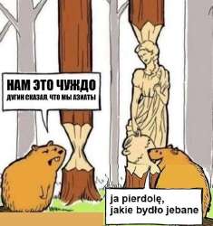 508x540