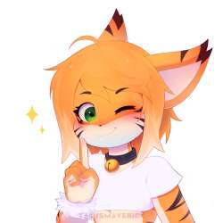 1919x1919