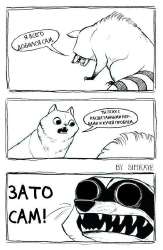 530x811