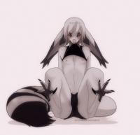 801x773