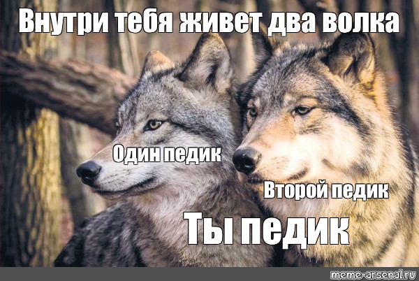 600x402