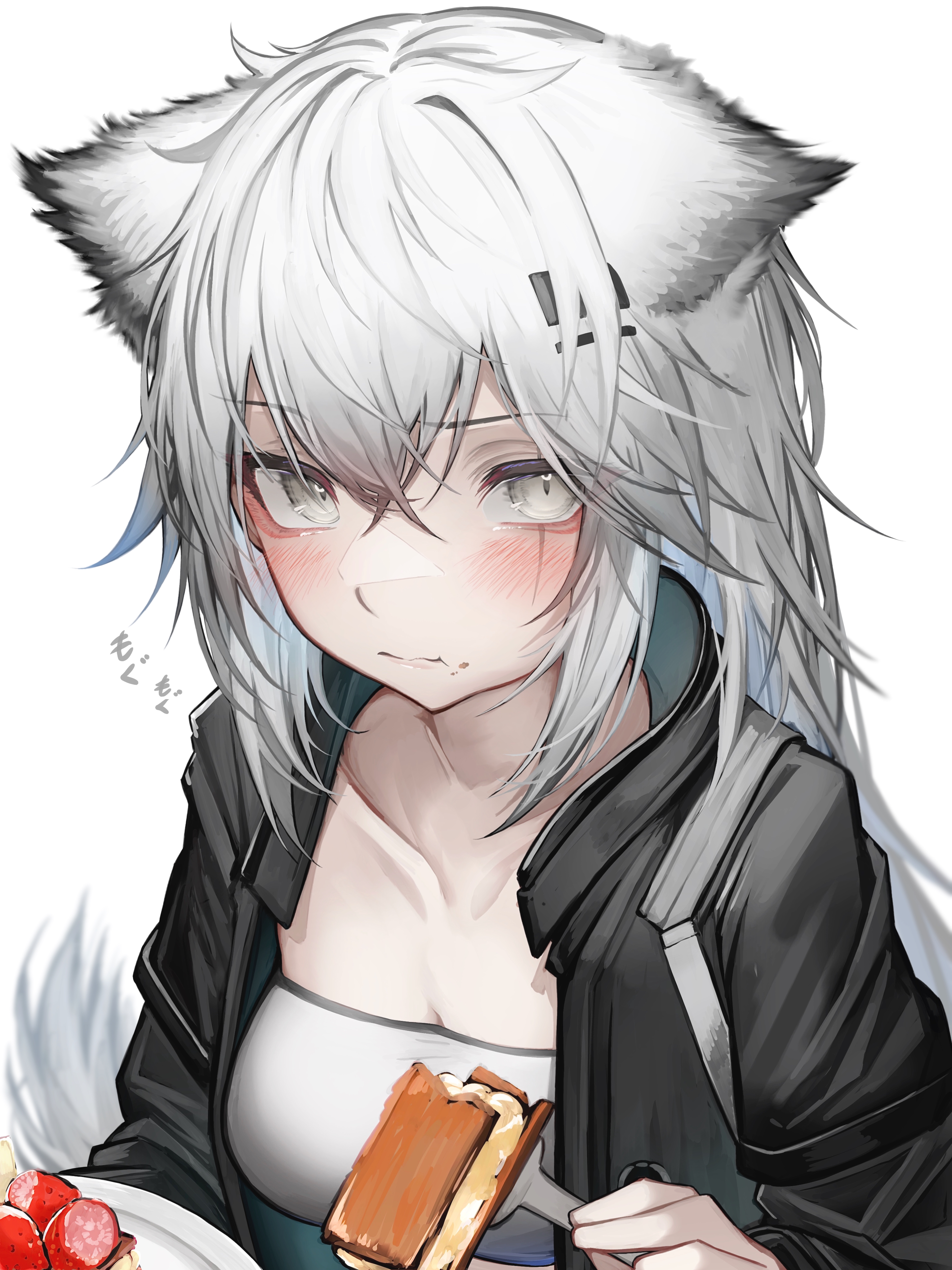 3070x4096