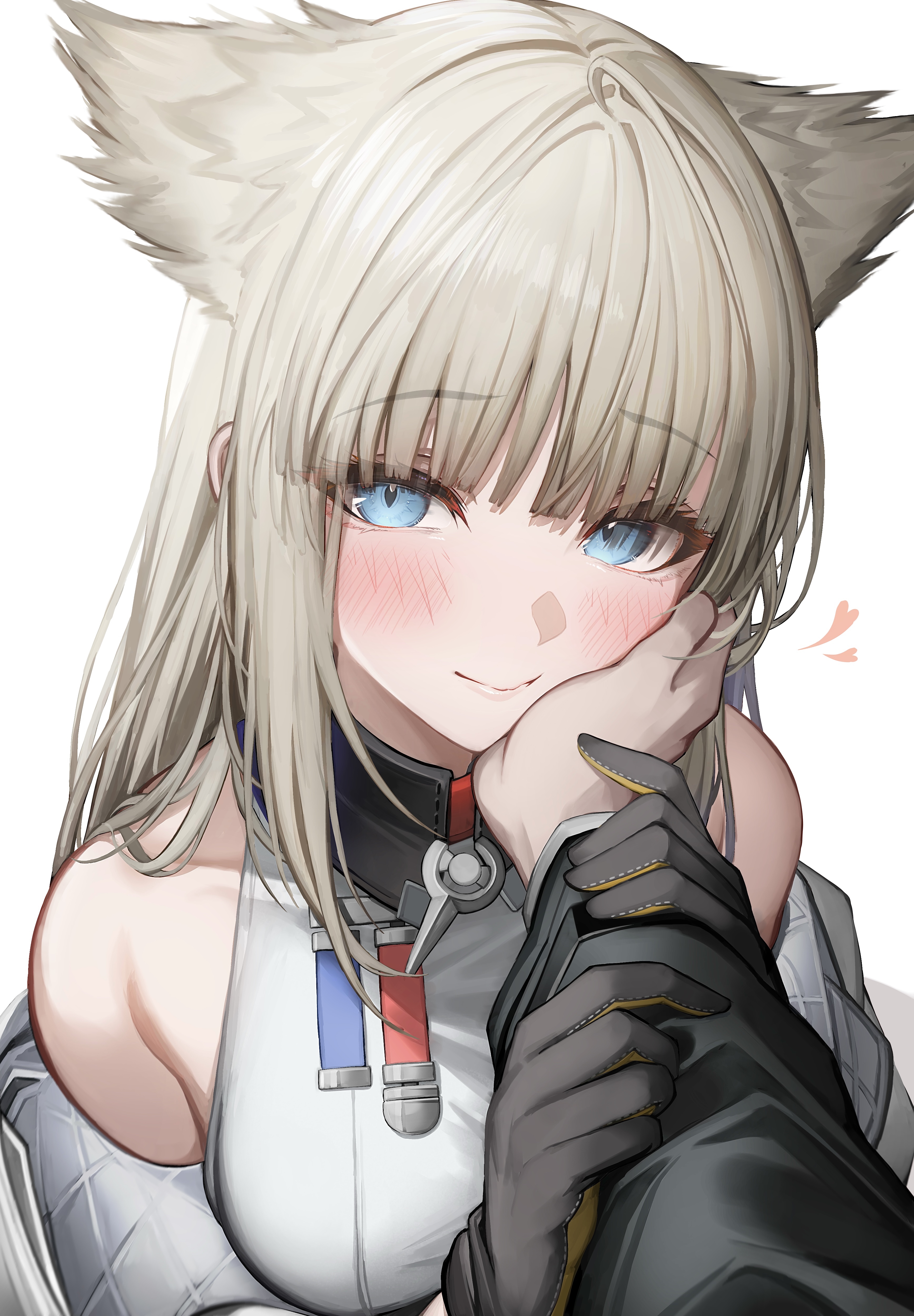 3471x4998