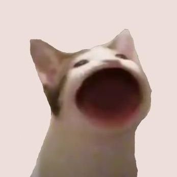347x347