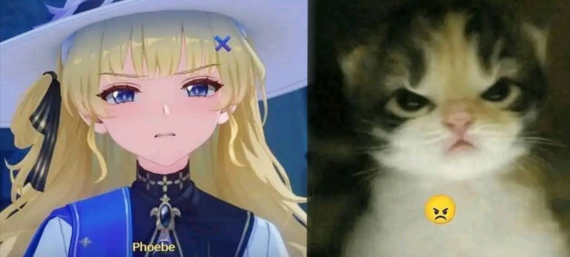 1920x868