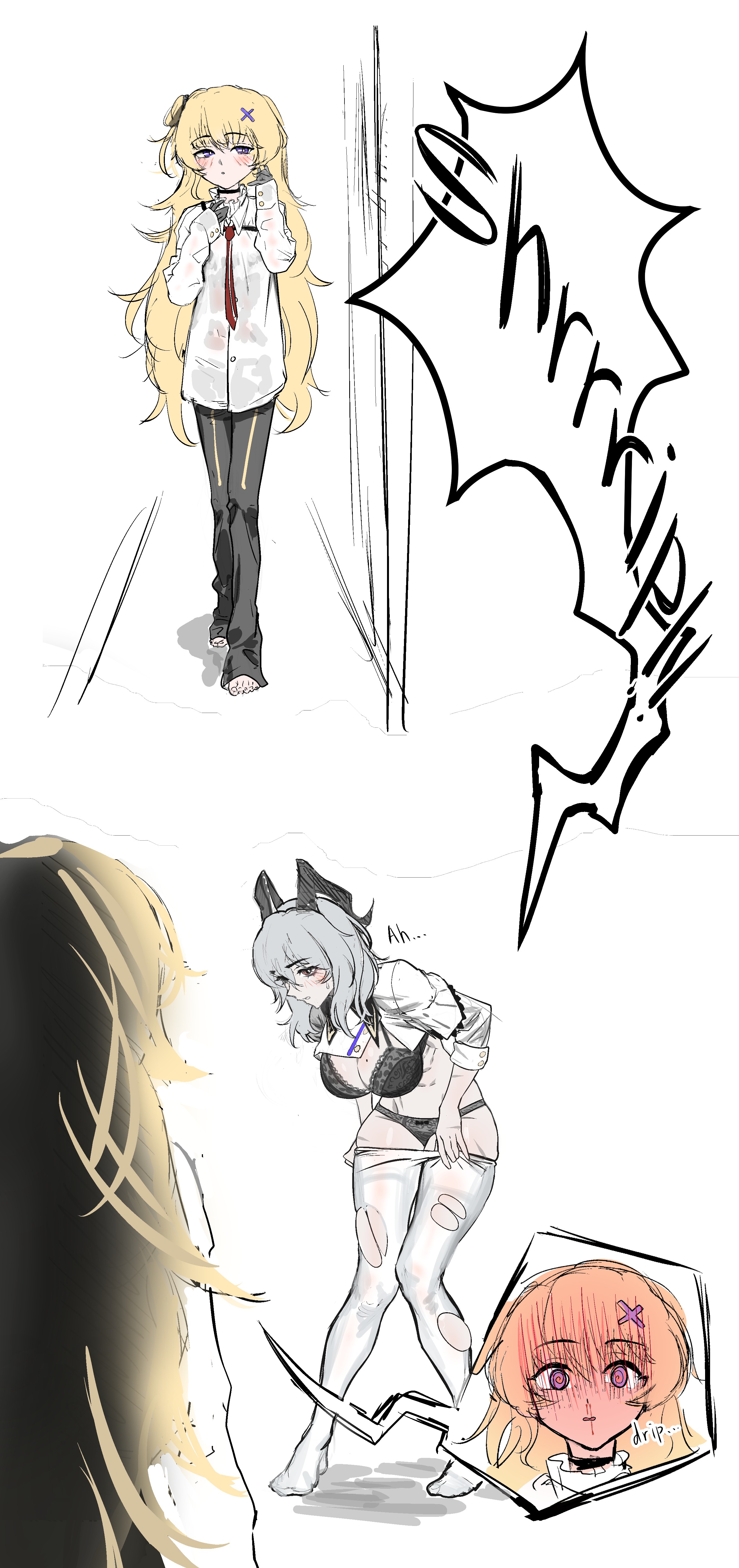 2658x5639