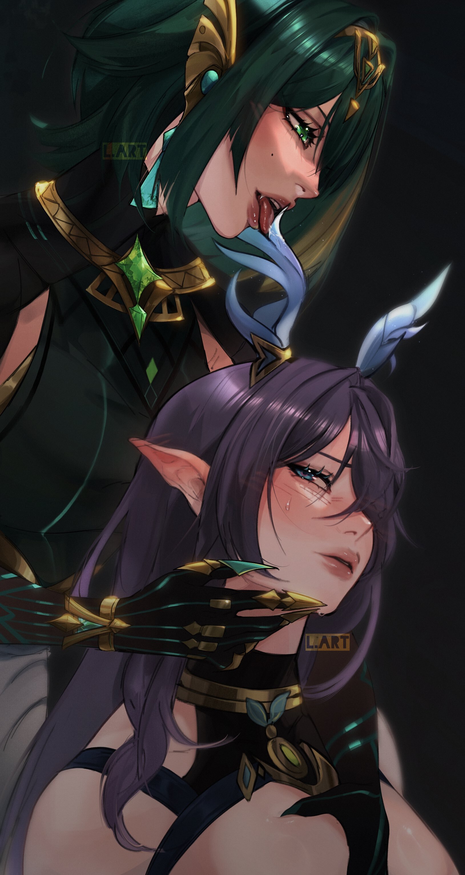 1629x3066