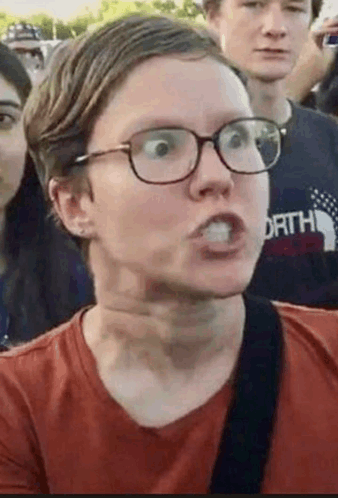 338x498