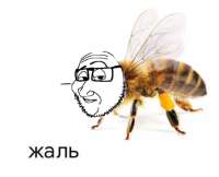 929x755