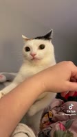 406x720