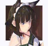 1427x1370