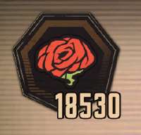 238x229
