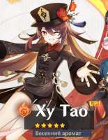 456x586