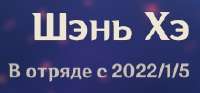 242x113