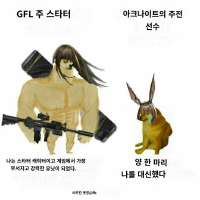 736x736