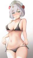 955x1649