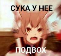 480x440