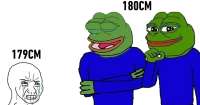 1200x631