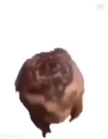 720x918