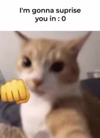 464x640