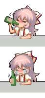 462x997