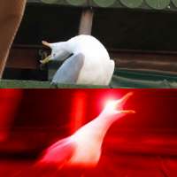 300x300