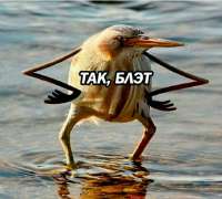 512x461