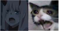 933x493