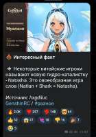970x1376