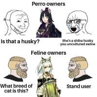 1000x1000