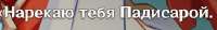 367x52