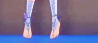 1506x666