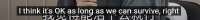 790x81