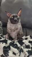 608x1080