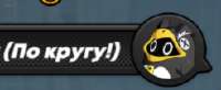 246x102