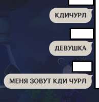 519x534