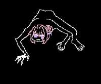 576x480