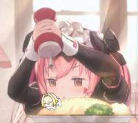 646x576