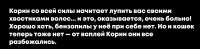 2496x614