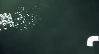 1012x554