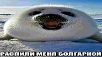 1280x720
